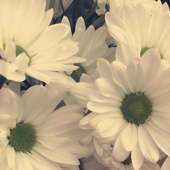 Meet your Posher, Taylor - Picture 1 of 1